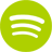 icon spotify